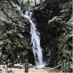 �����̑�